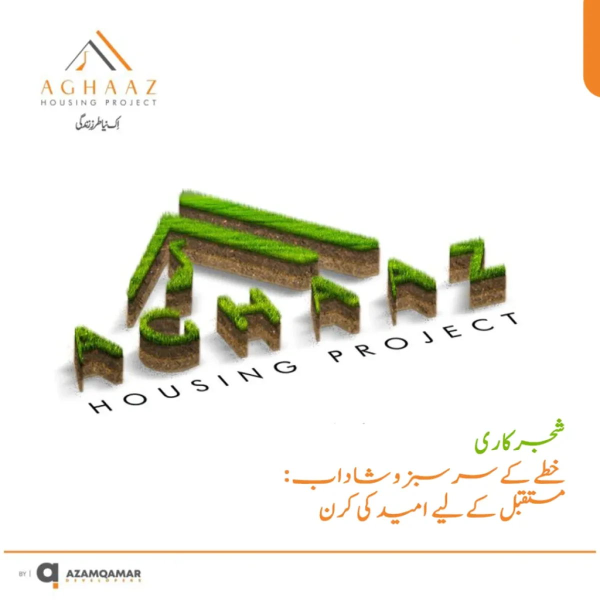 شجرکاری خطے کے سرسبز و شاداب مستقبل کے لیے امید کی کرن